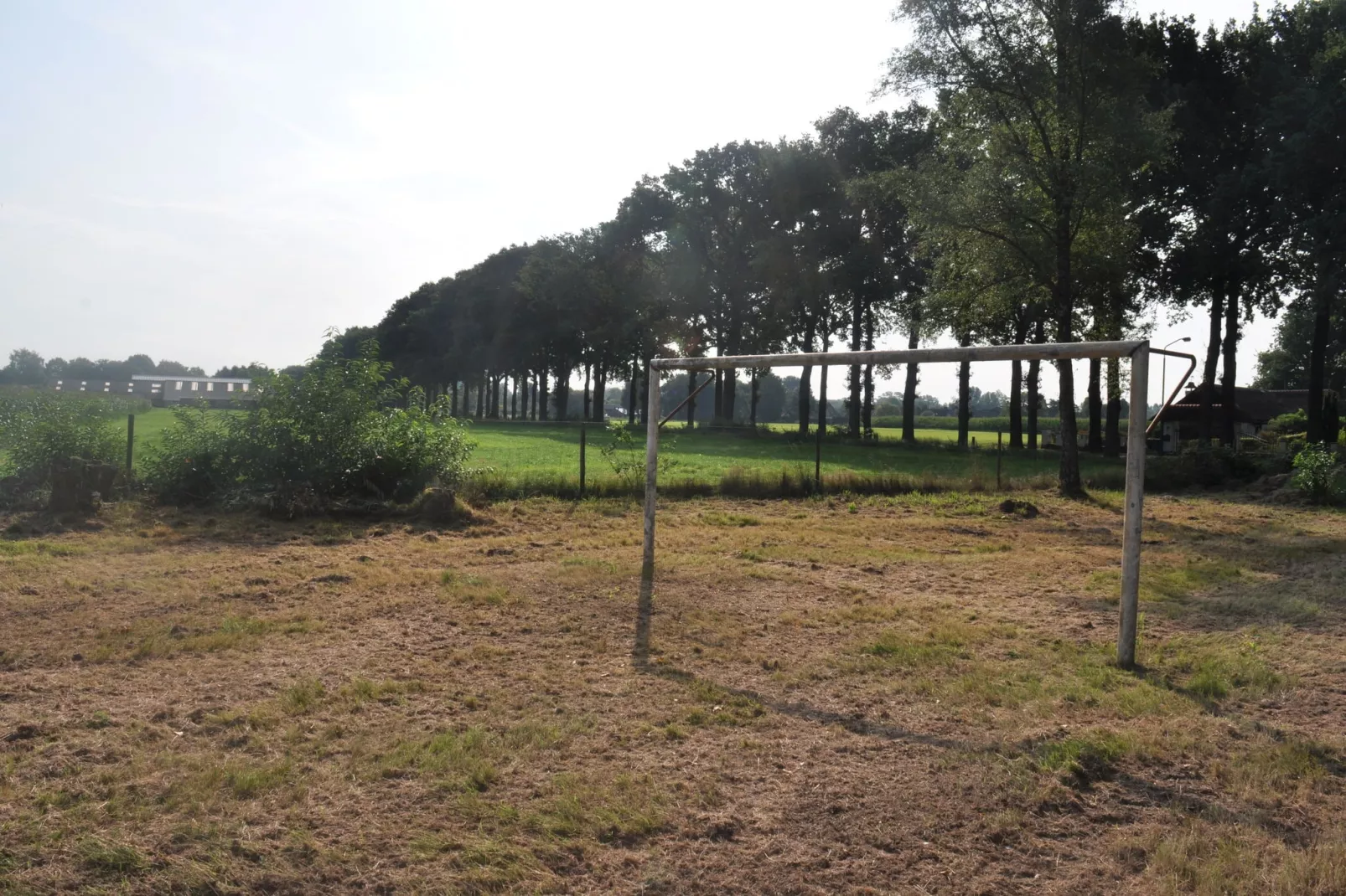 Dorpswoning In het Bos-Tuinen zomer