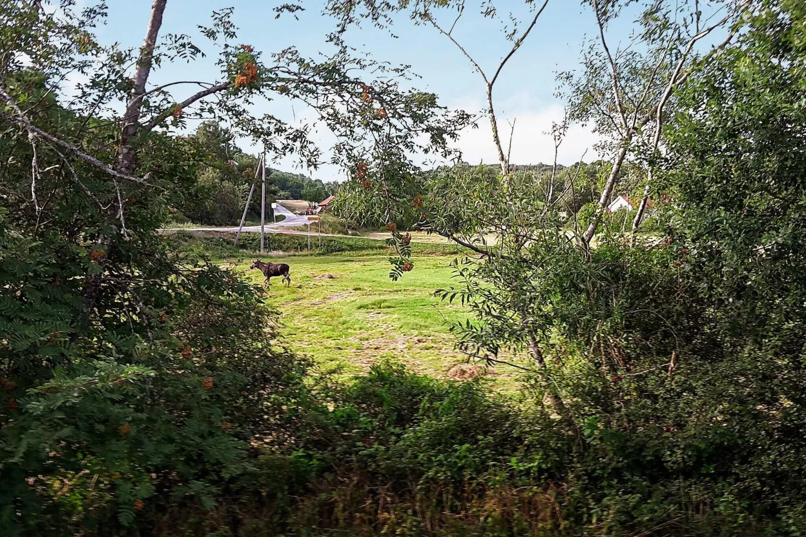 4 sterren vakantie huis in Nösund-Buitenlucht