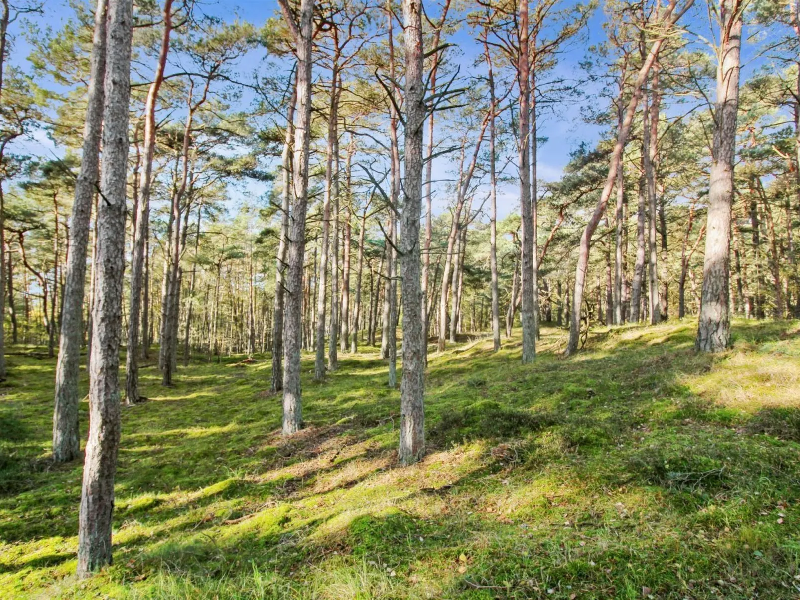 "Fredsine" - 1.2km from the sea-Buiten