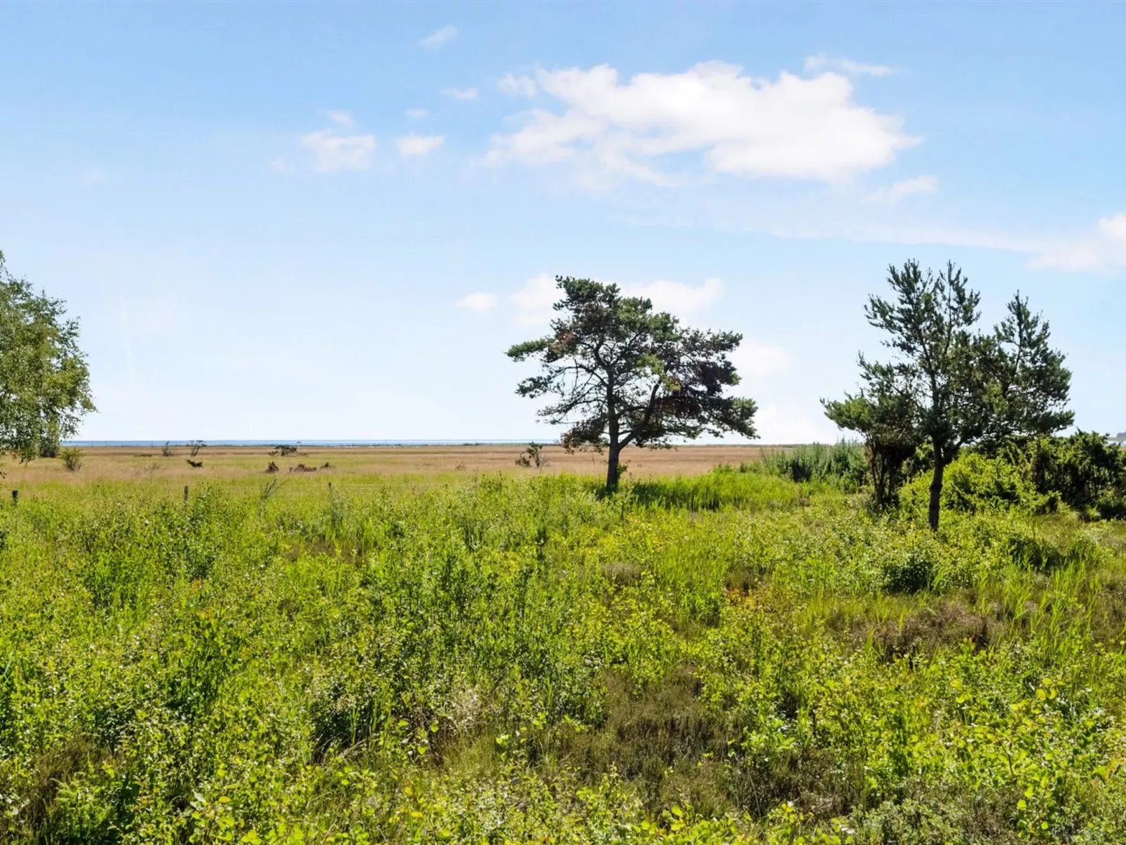 "Griselda" - 400m from the sea-Buiten