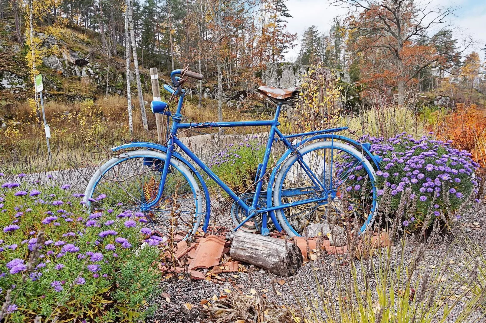 6 persoons vakantie huis in MARIEFRED-Buitenlucht