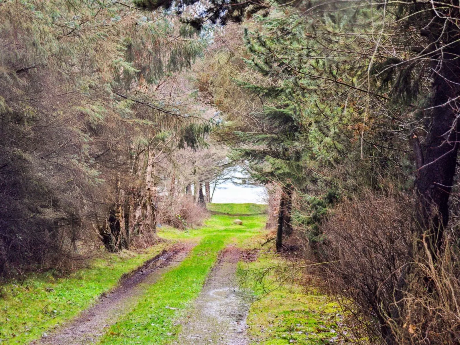"Suri" - 200m to the inlet-Buiten