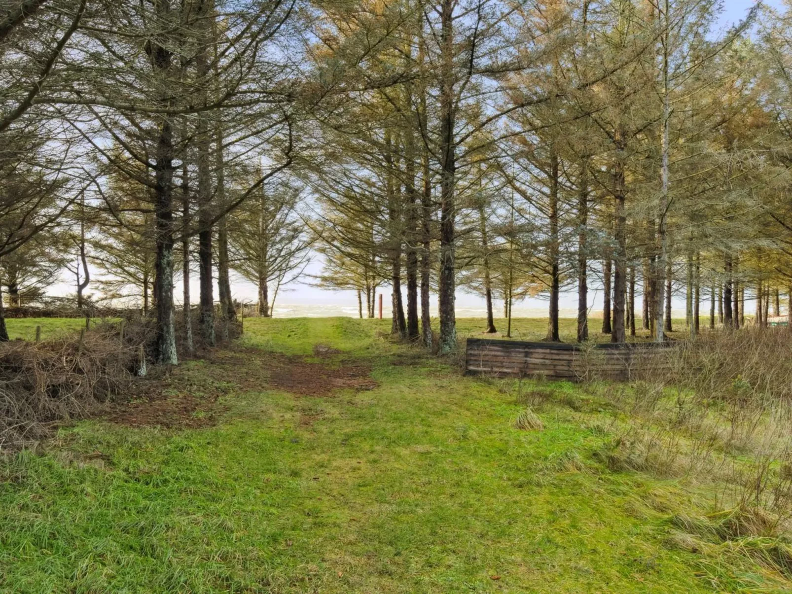"Suri" - 200m to the inlet-Buiten