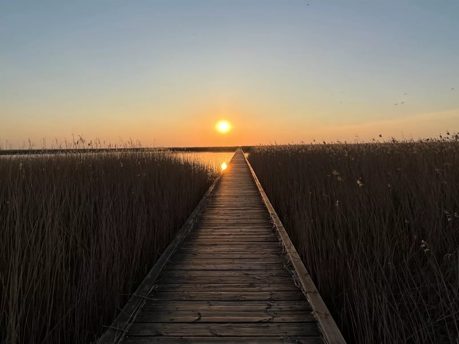 "Ela" - 800m from the sea-Buiten