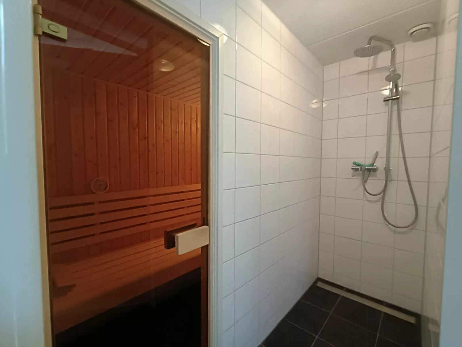 Villa Sauna 6-Binnen