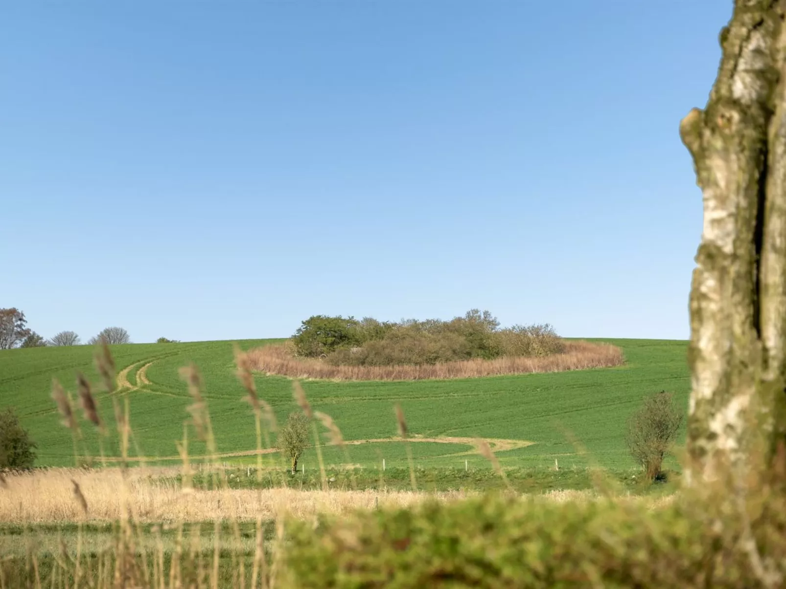 "Skak" - 100m from the sea-Buiten