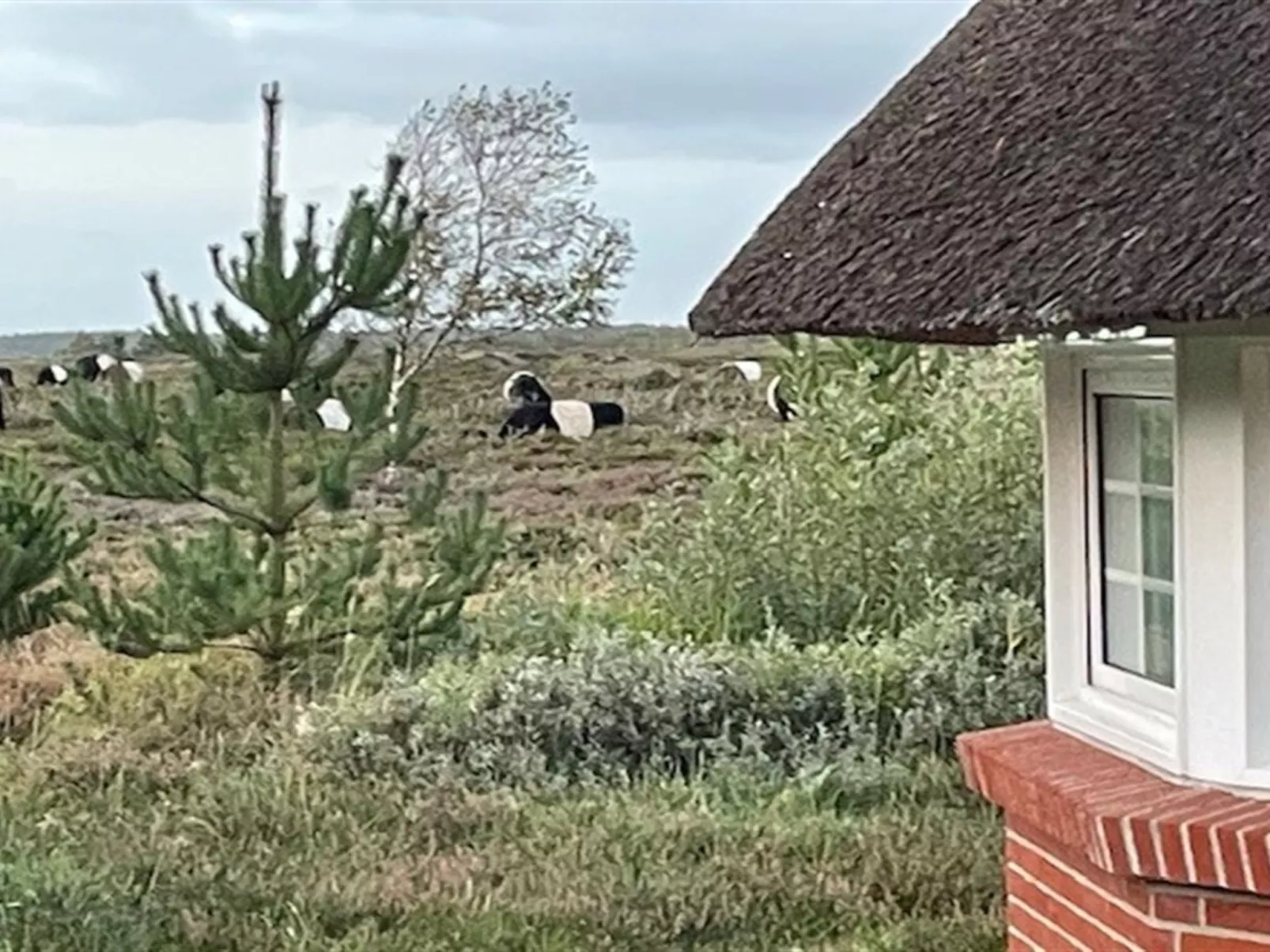 "Artan" - 2.6km from the sea-Binnen