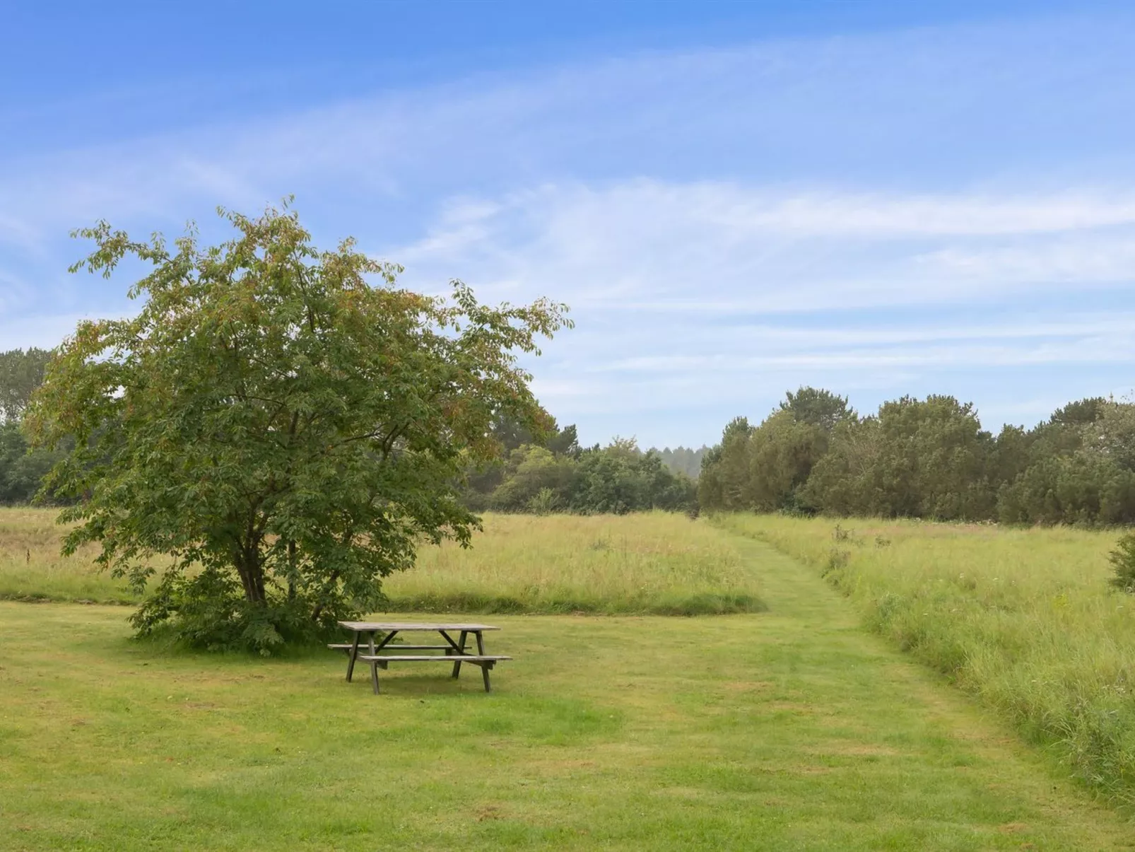 "Sunaj"-Buiten
