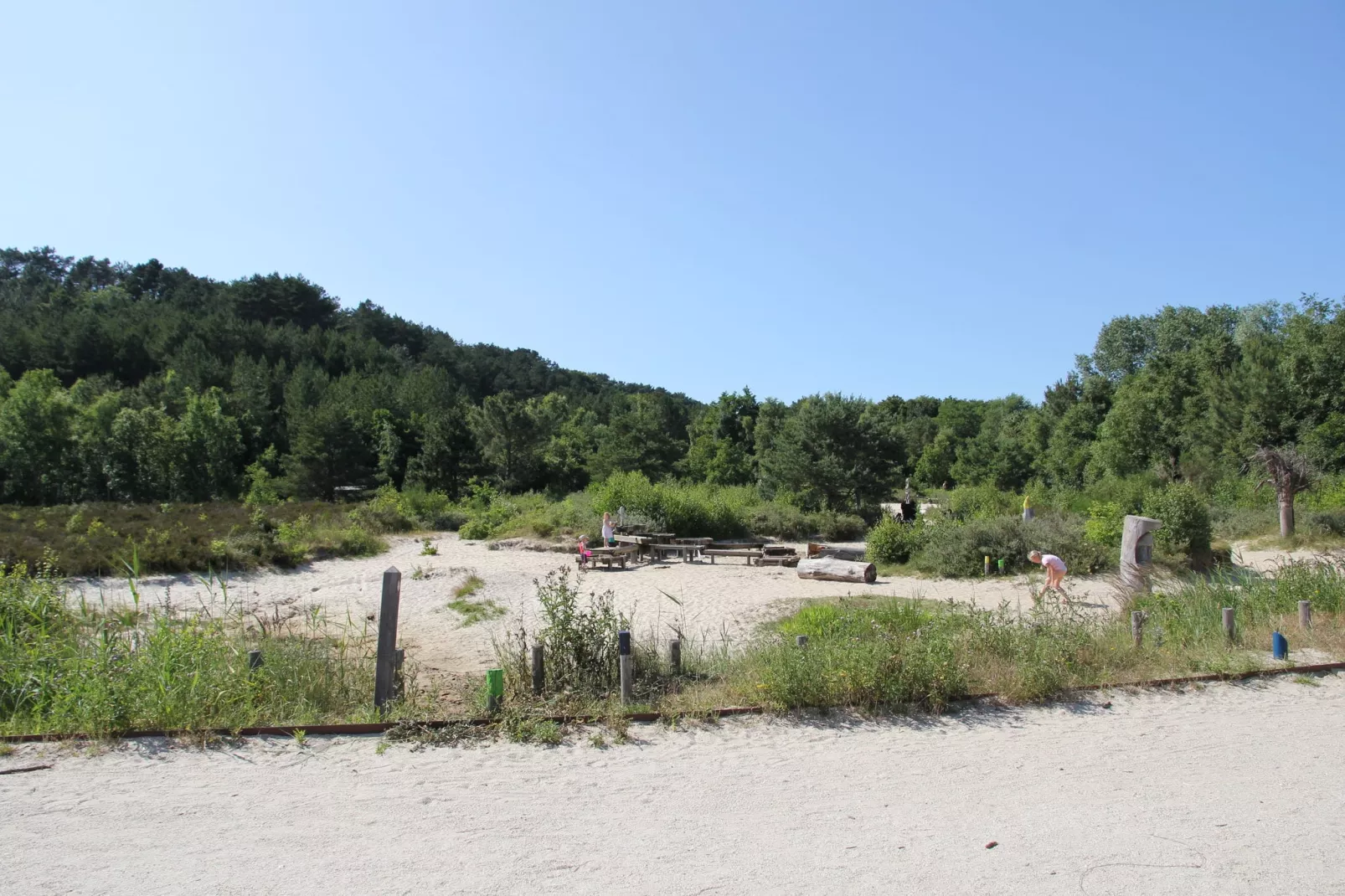 De Kleine Nachtegaal-Gebieden zomer 5km