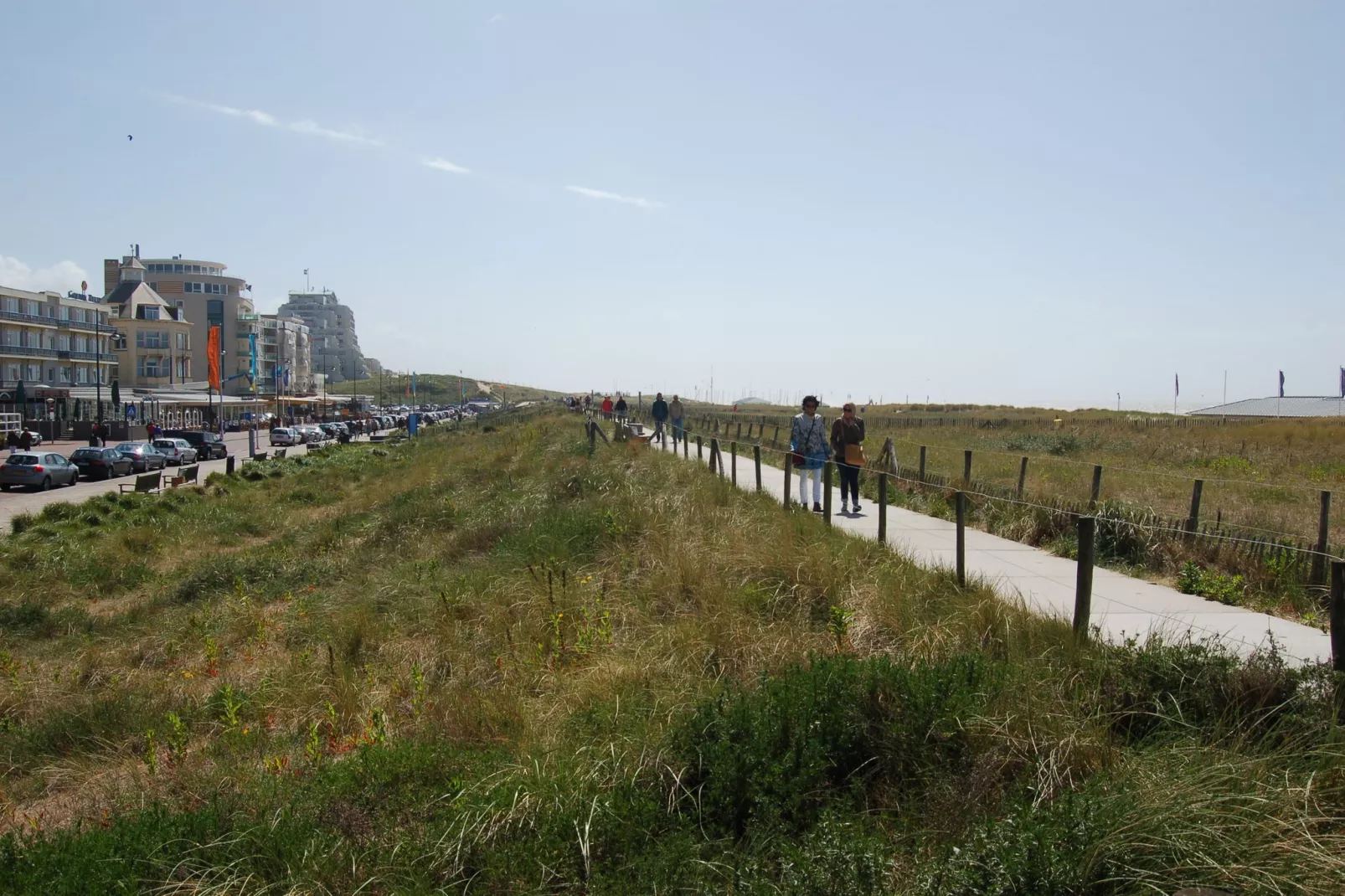 Zeearend Boulevard-Gebieden zomer 1km