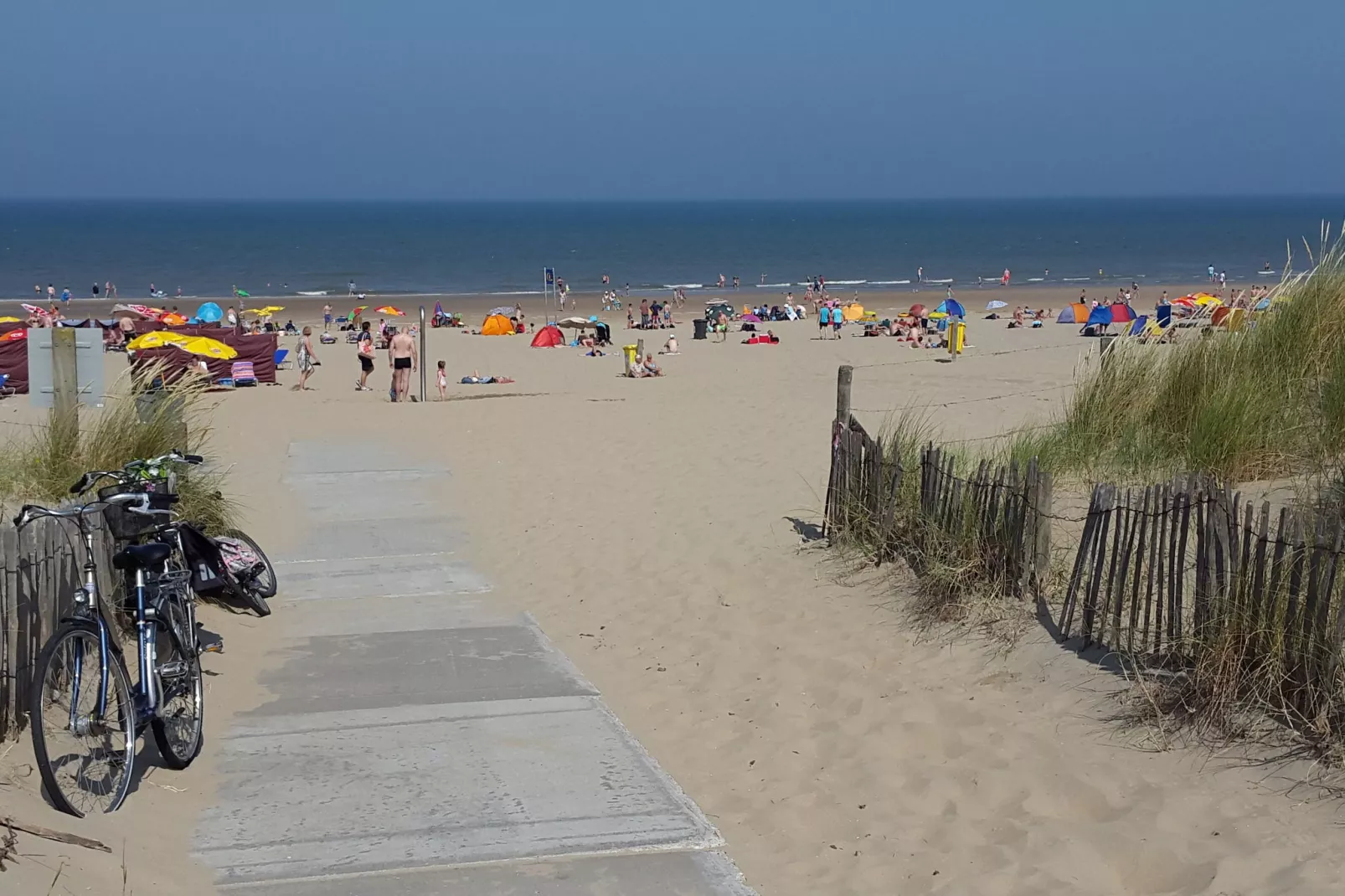 Zeearend Boulevard-Gebieden zomer 1km