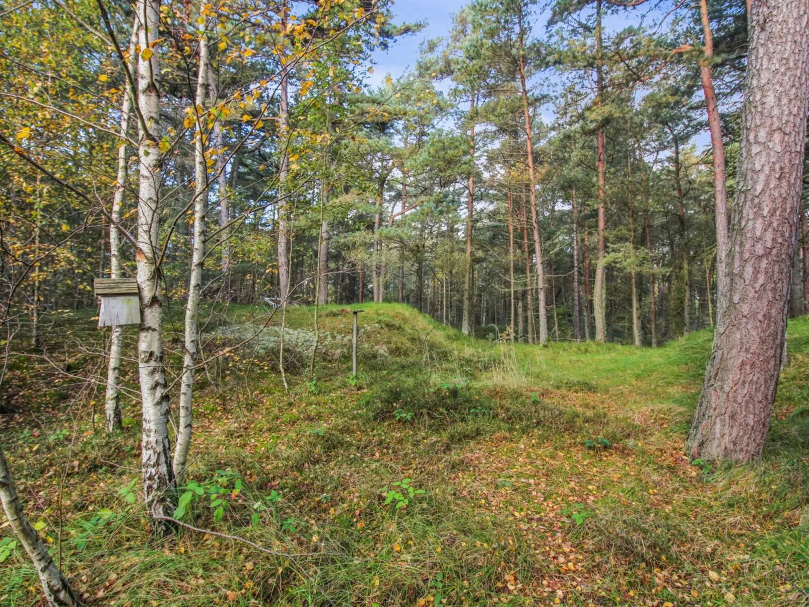 "Clementine" - 1.2km from the sea-Buiten