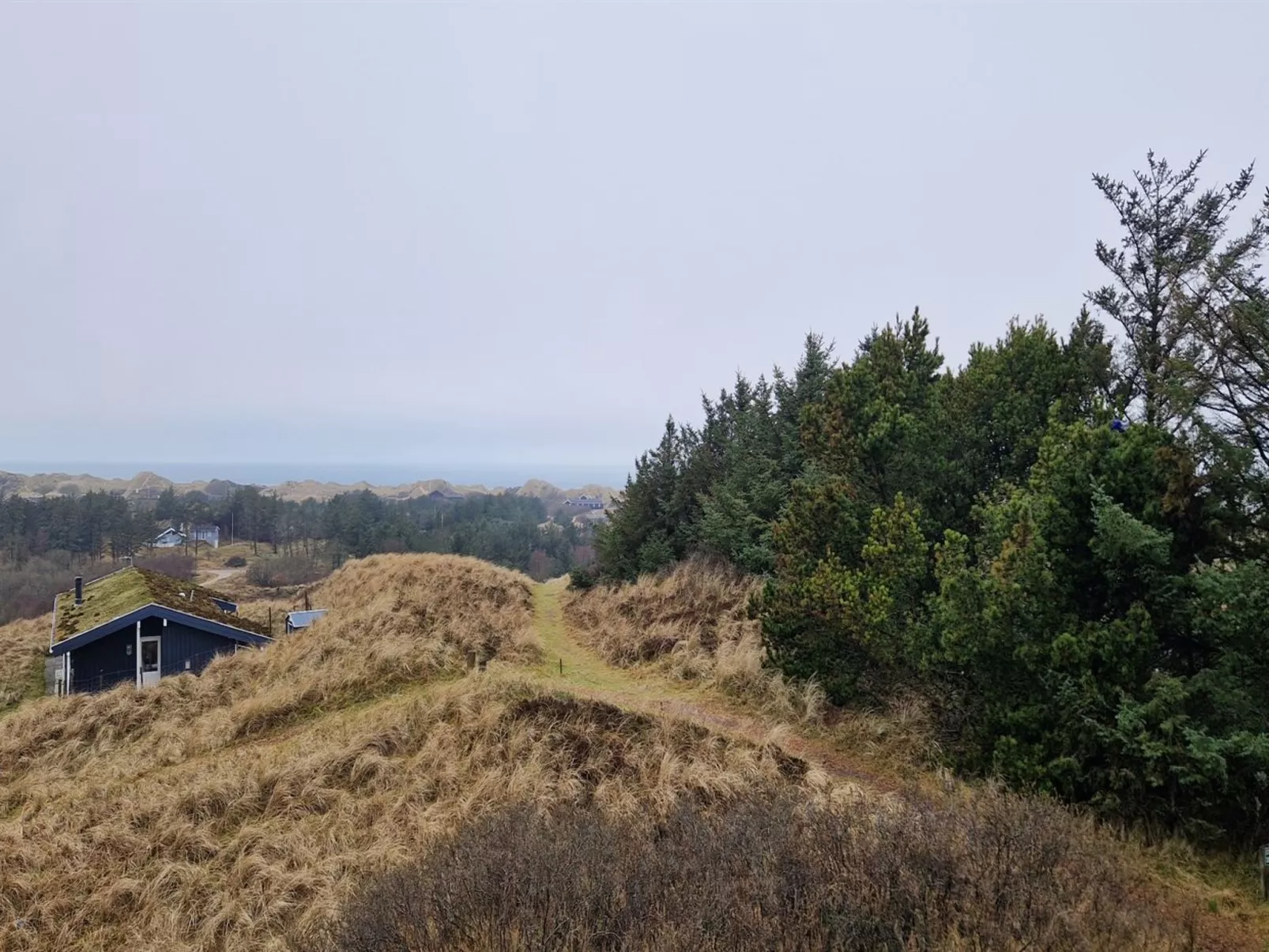 "Ajvi" - 900m from the sea-Binnen