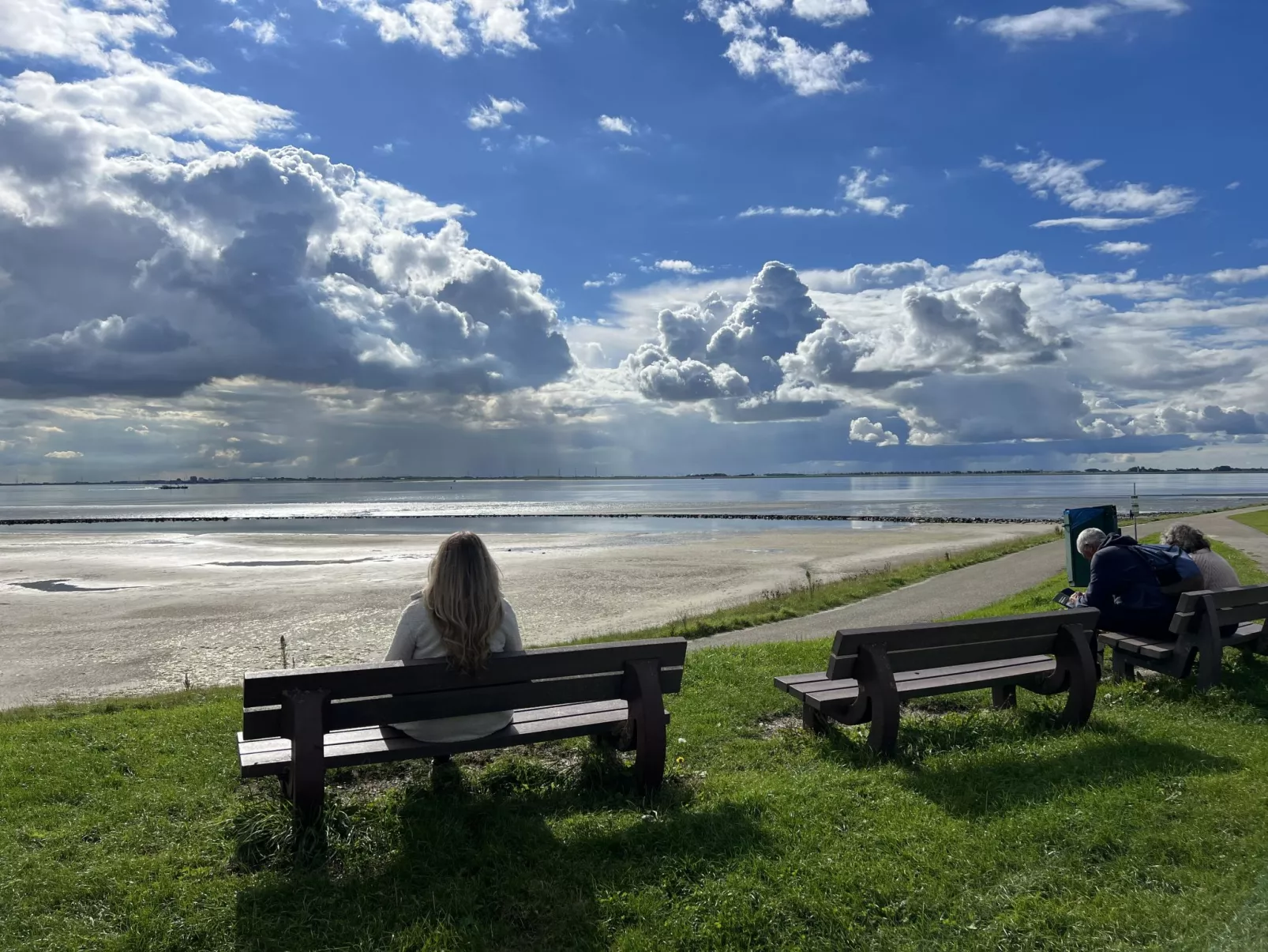 De Schelde-Buiten