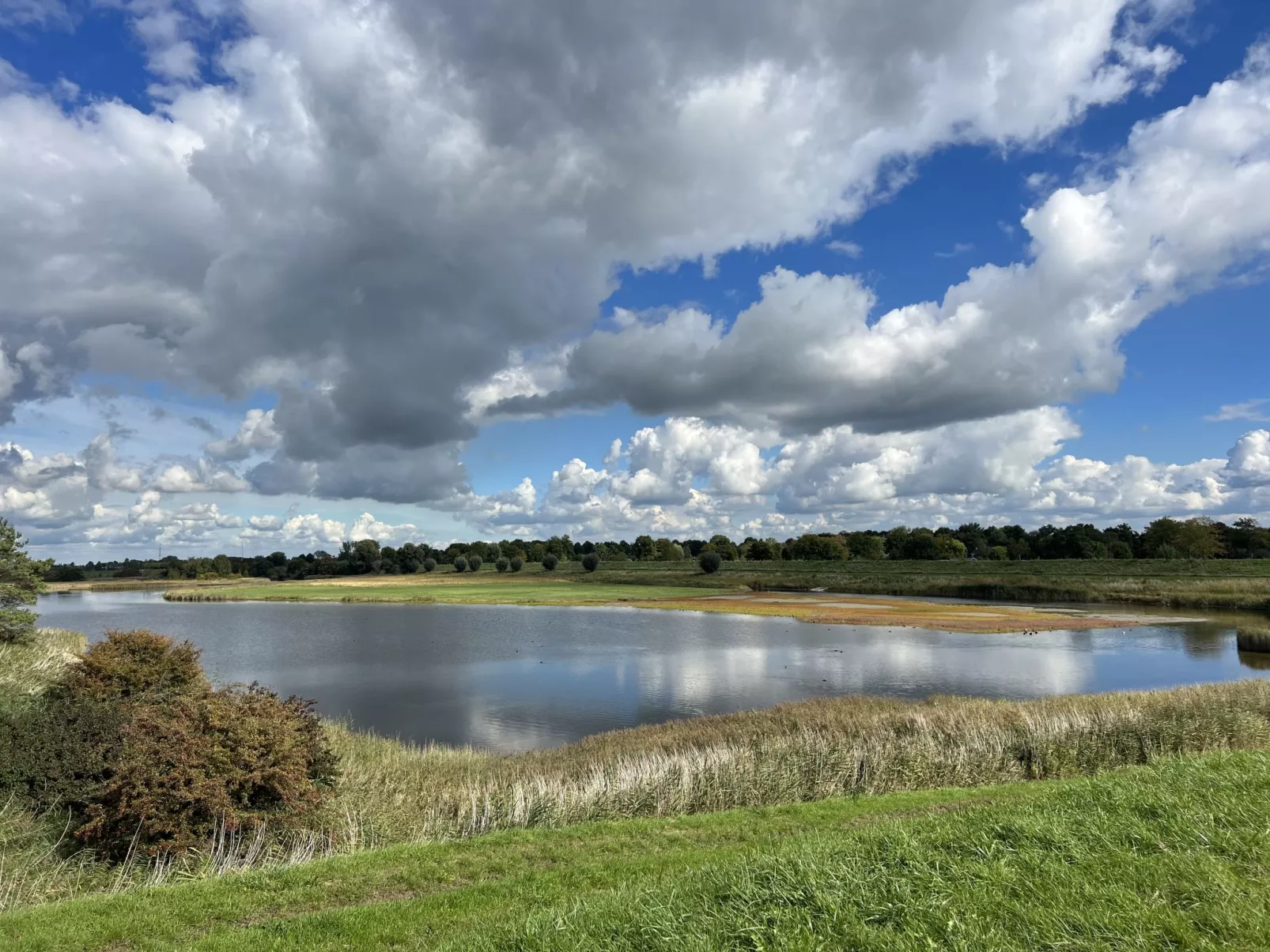 De Schelde-Buiten