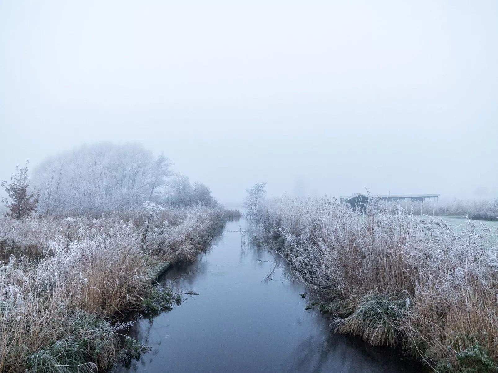 Natuurlijk de Veenhoop-Buiten