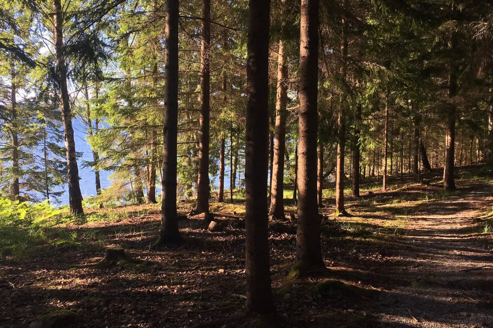 4 sterren vakantie huis in NYKVARN-Buitenlucht