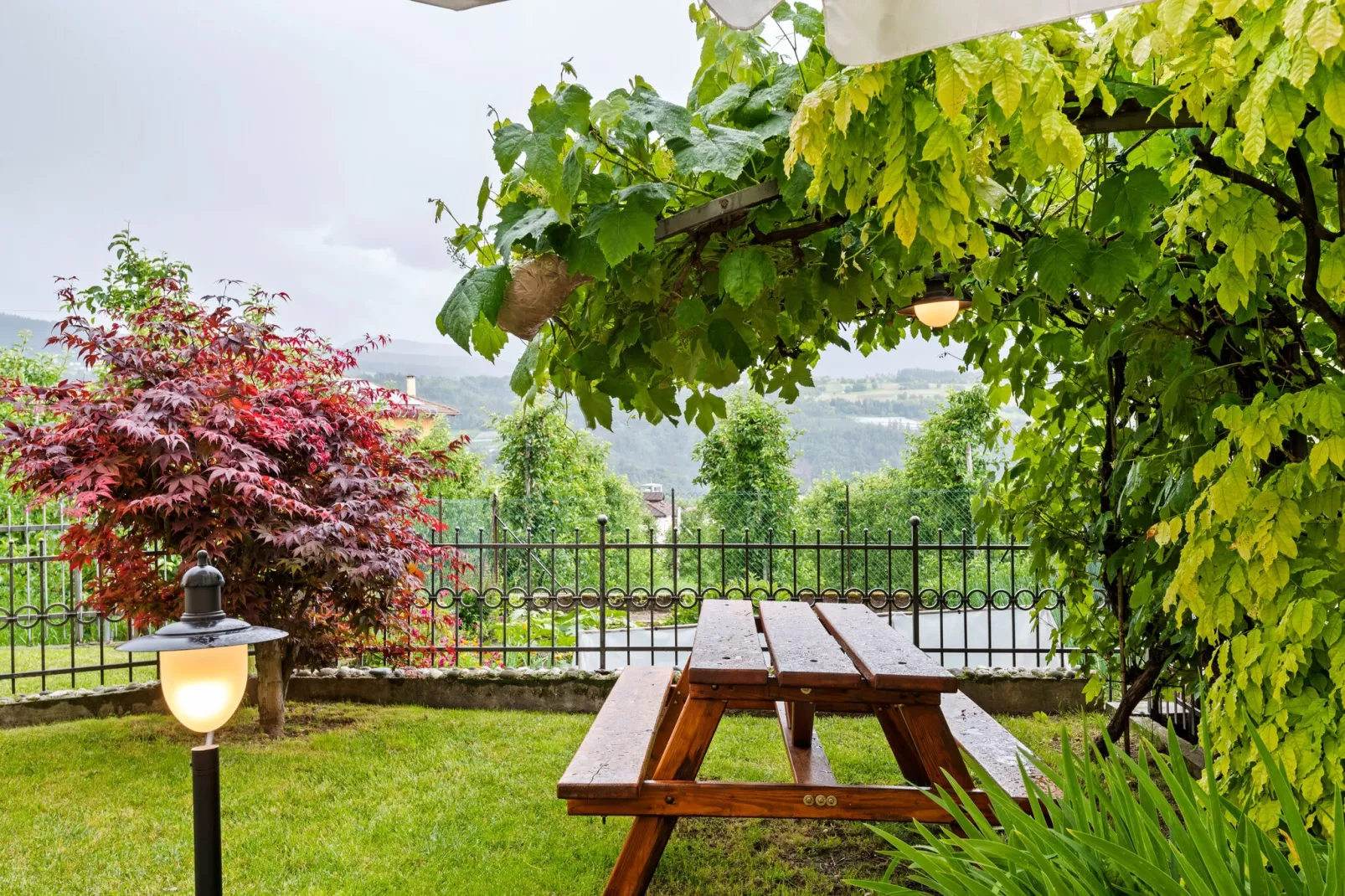 Golden Delicious-Tuinen zomer