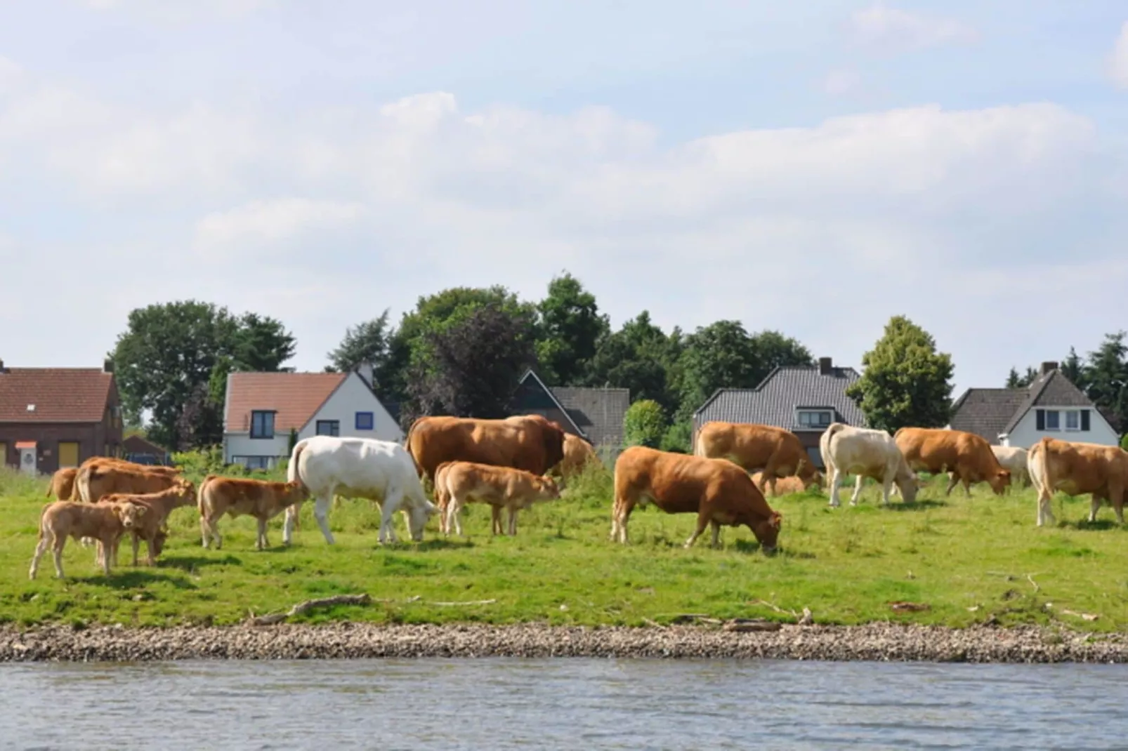 D'Olne 12 pax-Gebieden zomer 20km