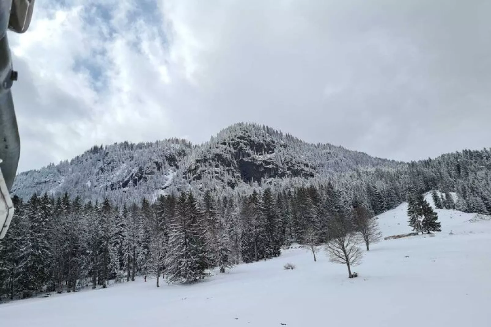Zilverkruid-Gebied winter 5km
