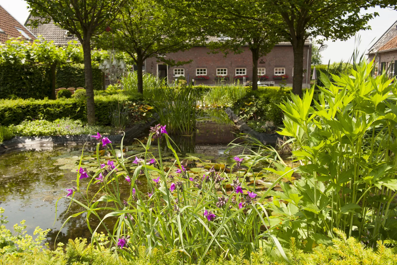 Coenengracht 8 - 10 pax-Tuinen zomer