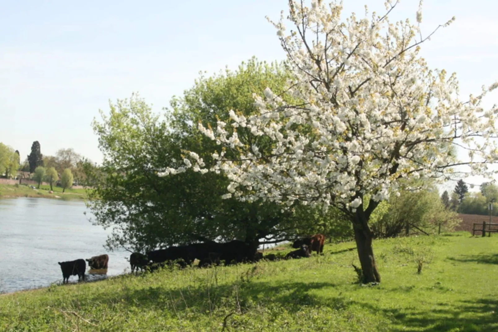 Coenengracht 8 - 10 pax-Gebieden zomer 5km