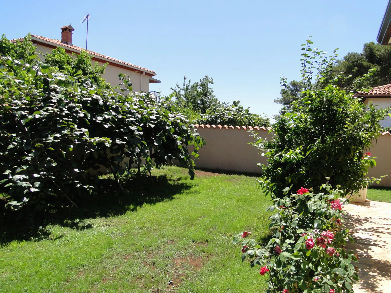 Apartment Pino-Buiten