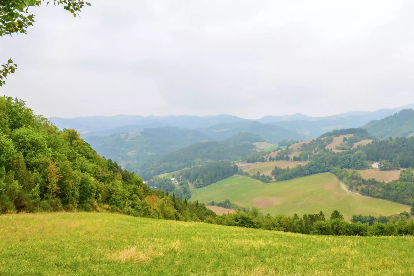 Villa-appartement met zwembad en panoramisch uitzicht over de Apennijnen-Uitzicht zomer