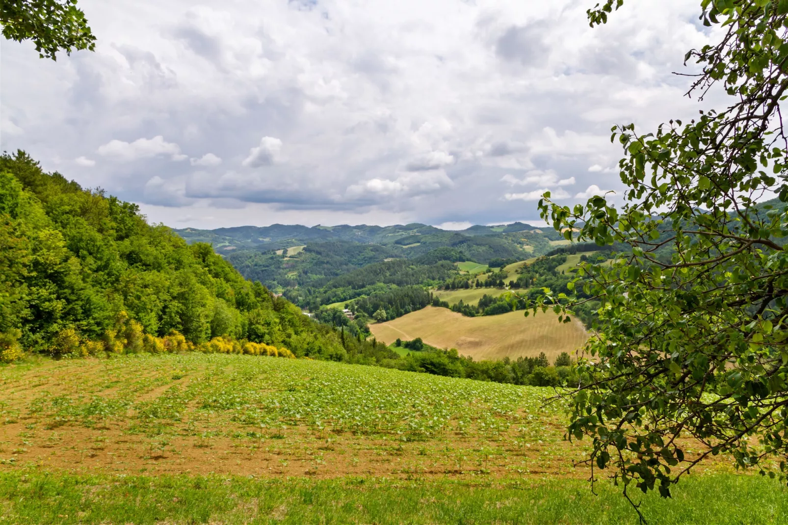 Prachtige villa in Toscane met een adembenemend uitzicht-Uitzicht zomer