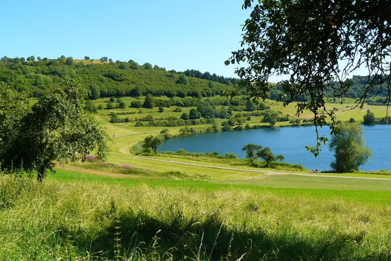 Eschbachtal-Gebieden zomer 20km