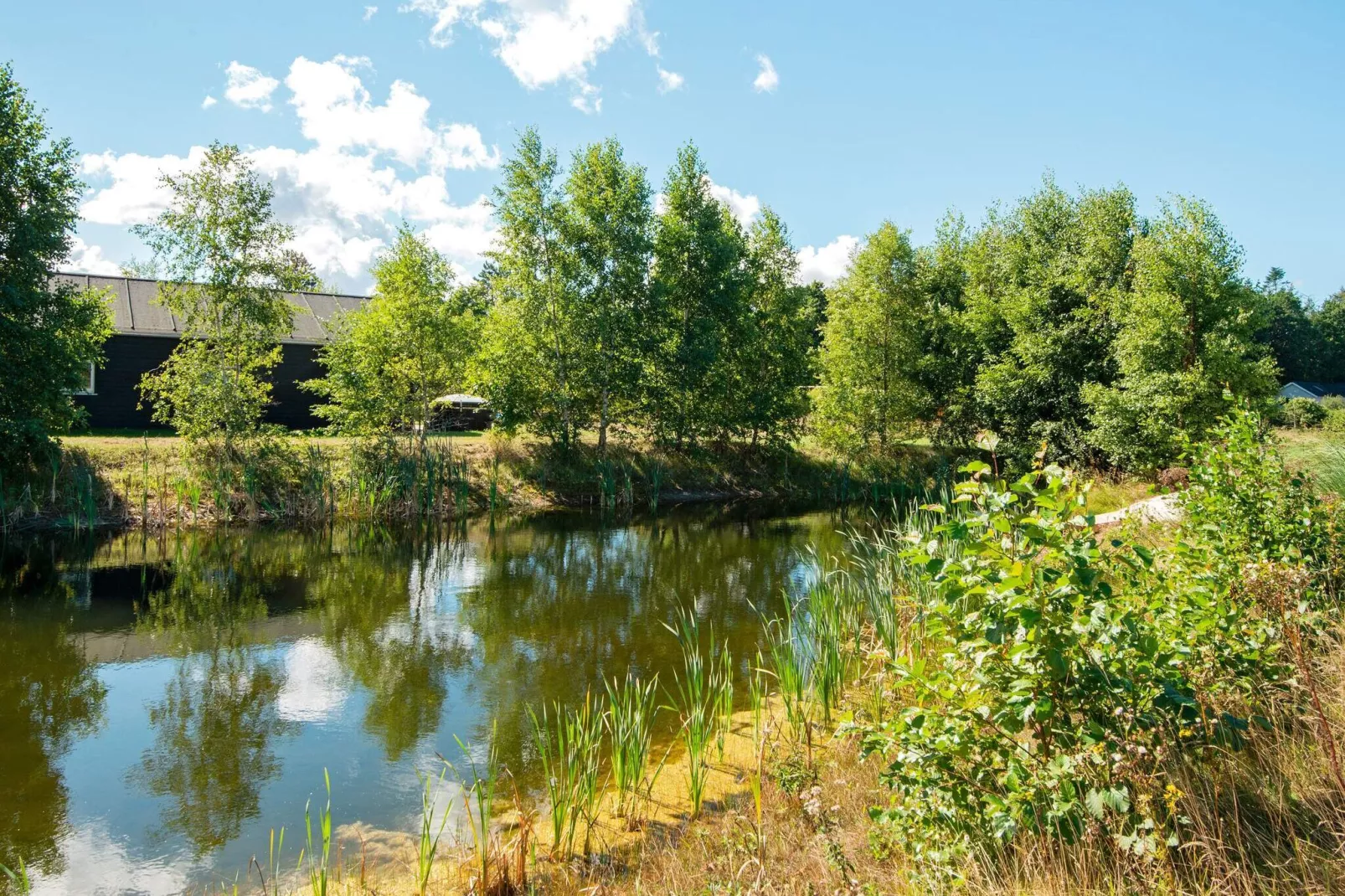 4 sterren vakantie huis in Glesborg