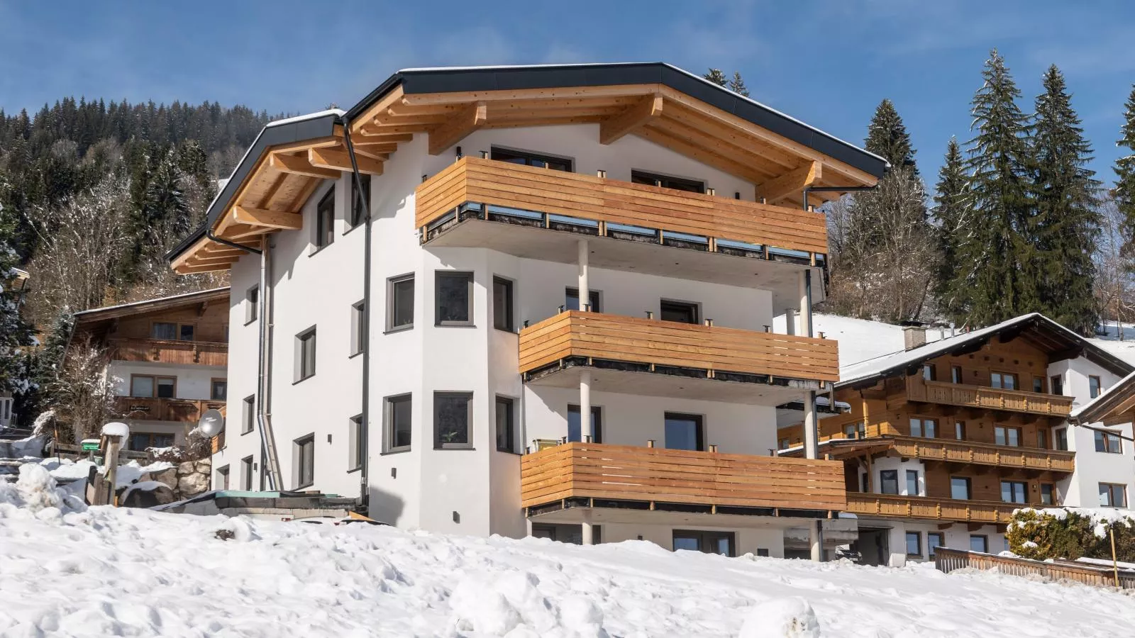 Tirolee Marchegg 1 OG Top 3-Exterieur winter