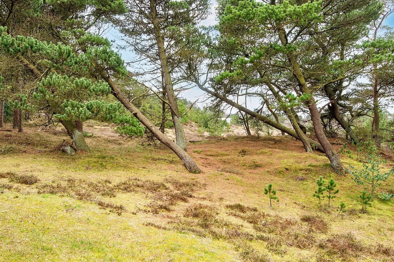 6 persoons vakantie huis in Rømø-Uitzicht