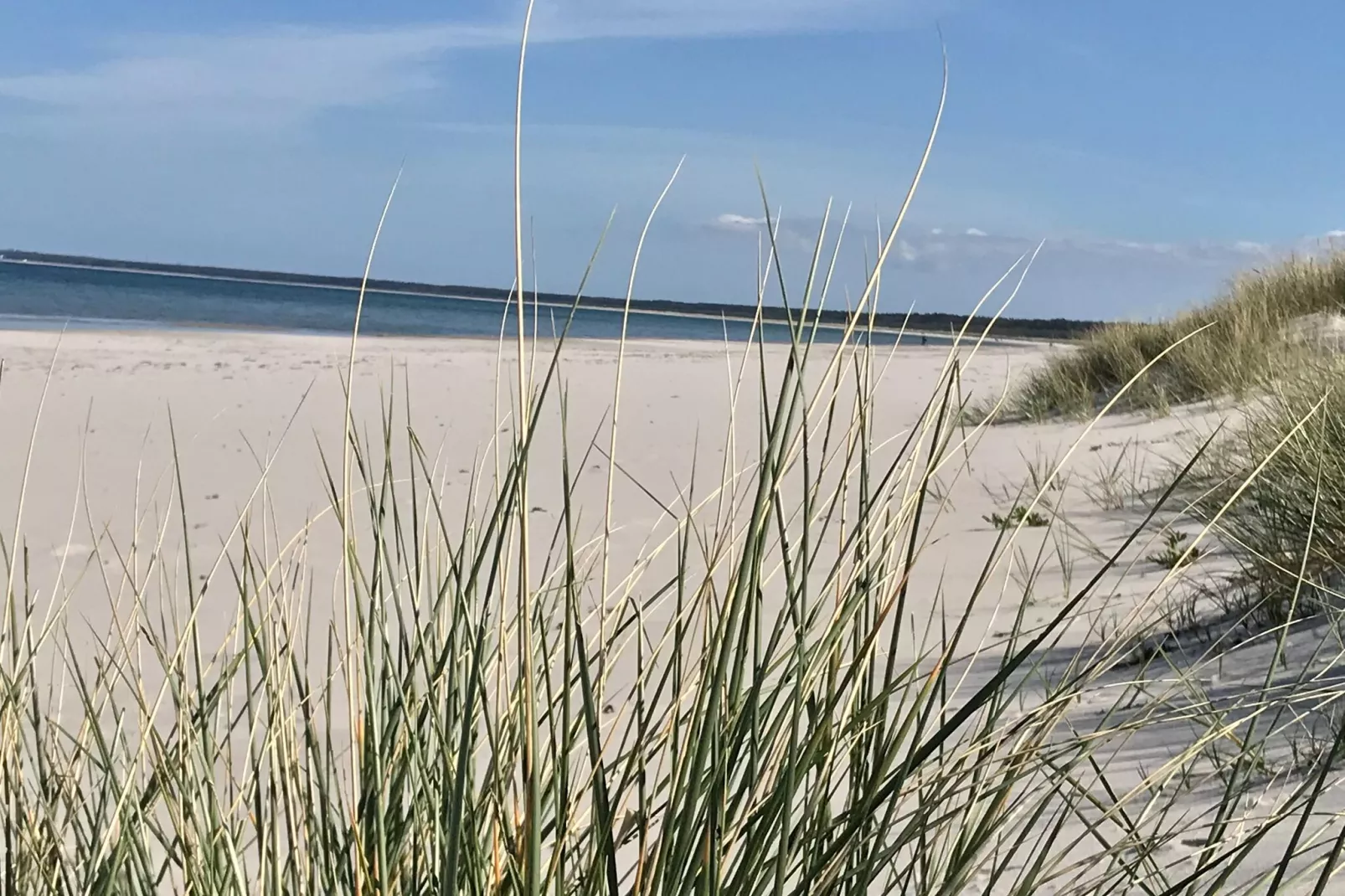 Ferienwohnung an der Ostsee in Pruchten naehe Zingst-Gebieden zomer 5km