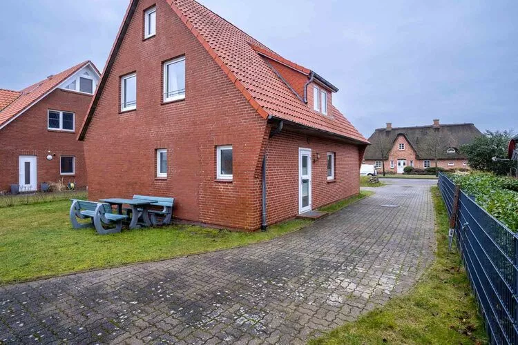Strand-Grasnelke-Buitenkant zomer