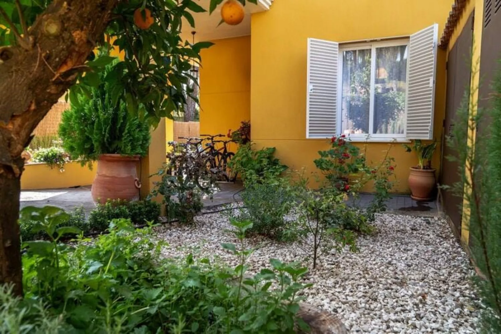 FH in las Jaras - CT 102 CO 4PAX-Tuinen zomer