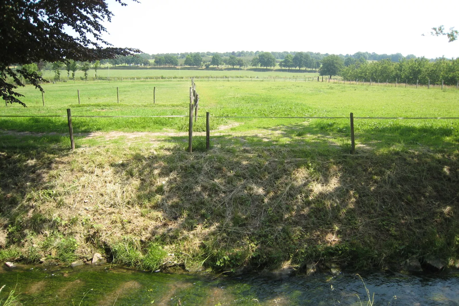 Meschermolen 12-Uitzicht zomer