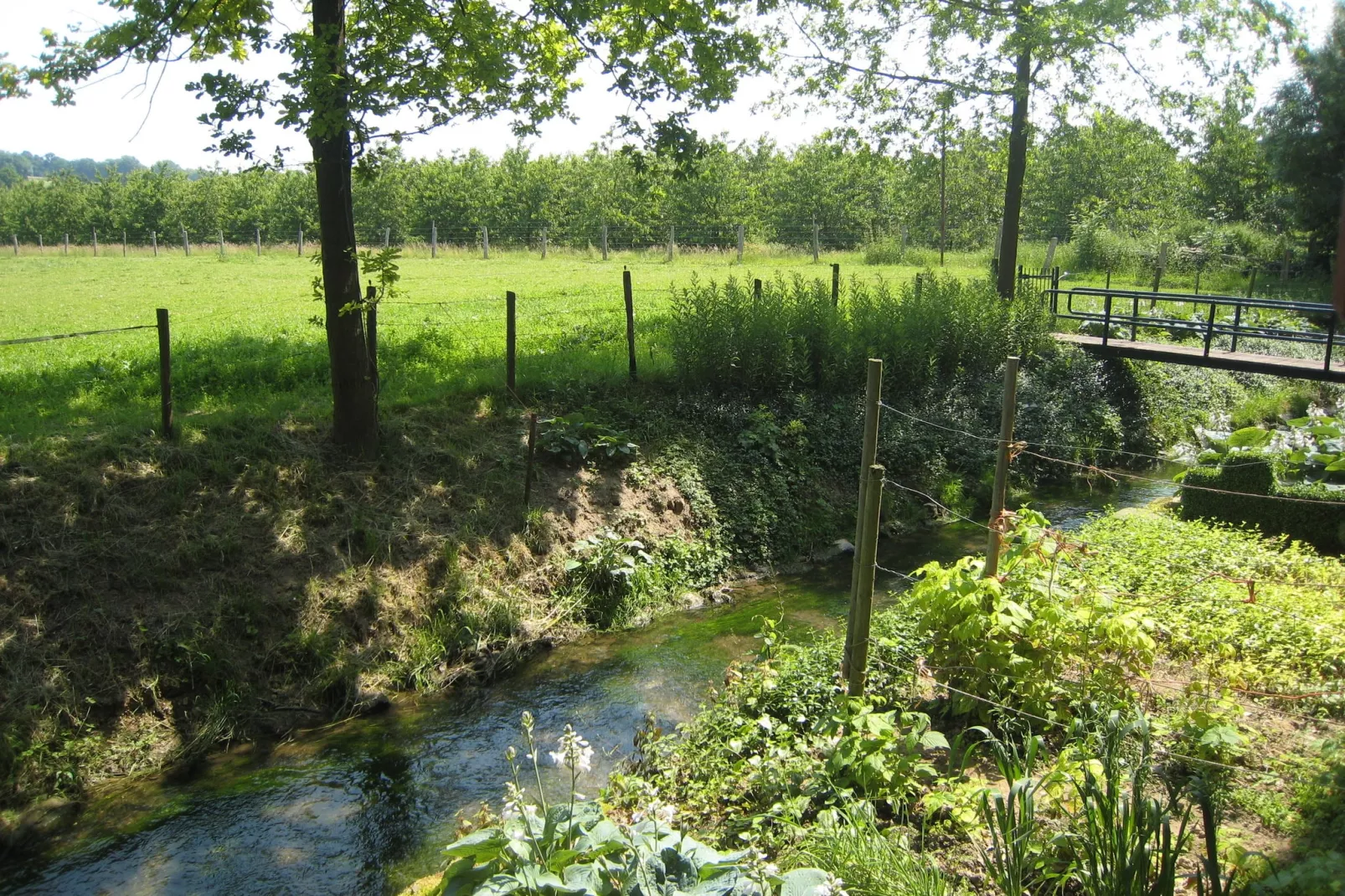 Meschermolen 5-Uitzicht zomer