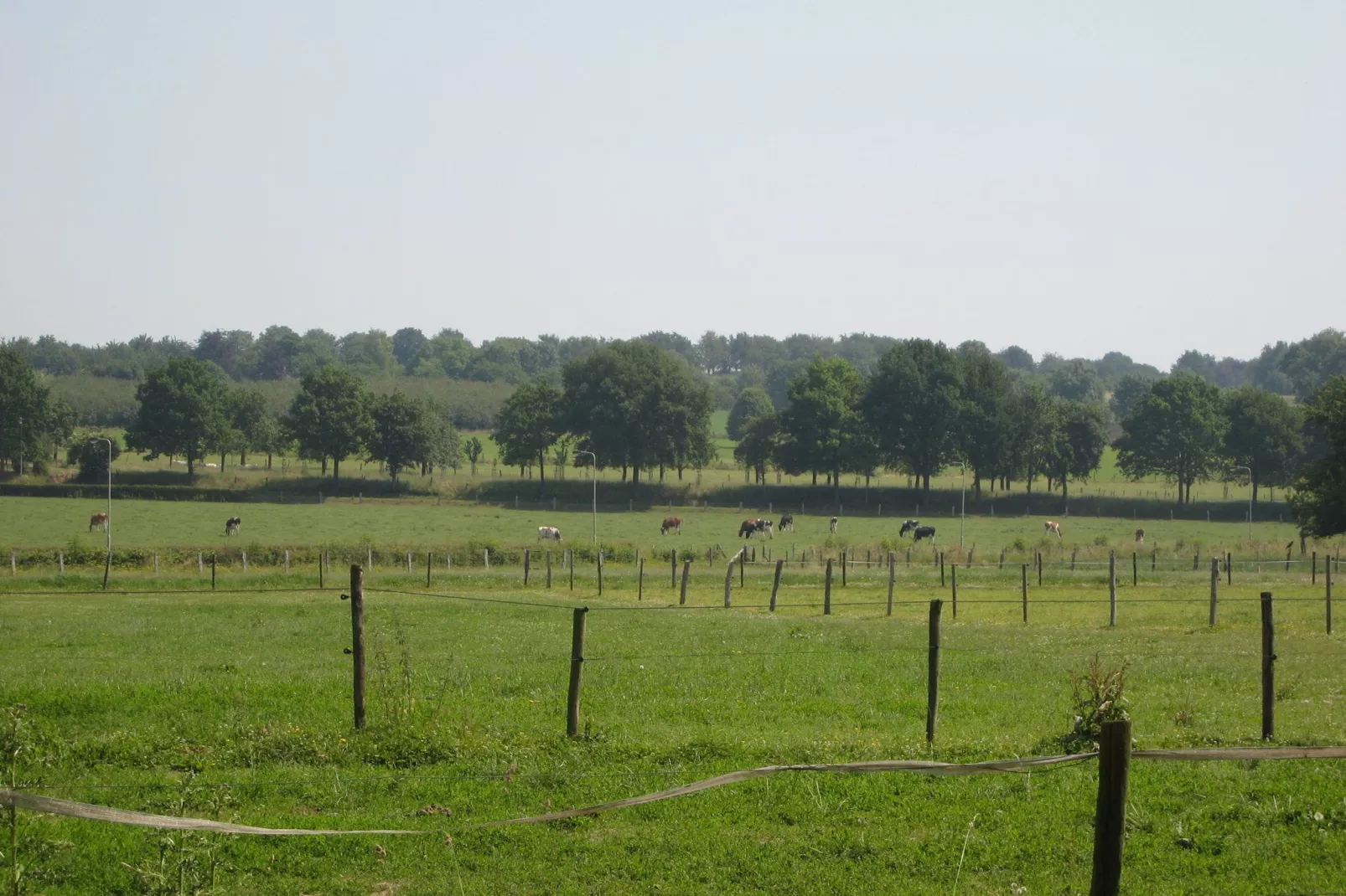 Meschermolen 5-Uitzicht zomer