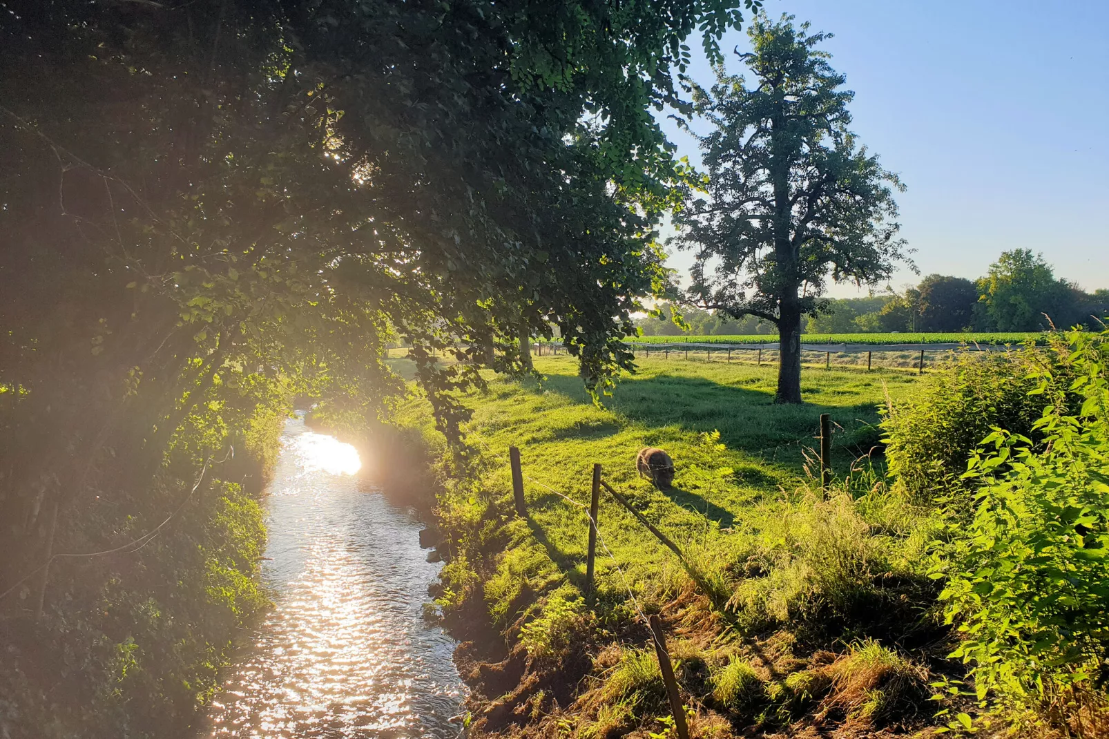 Meschermolen 5-Gebieden zomer 1km