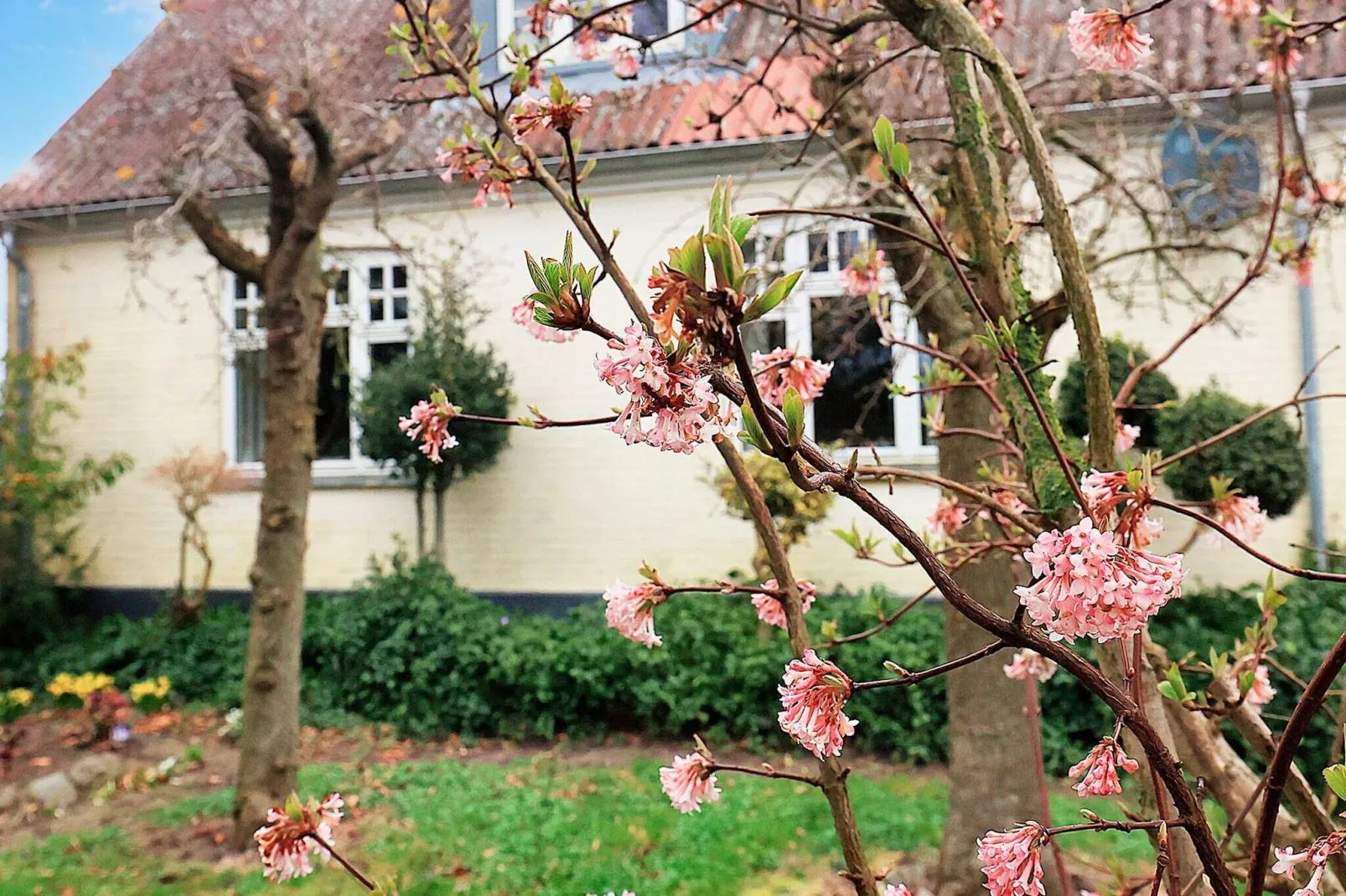 6 persoons vakantie huis in Søby Ærø-By Traum-Uitzicht