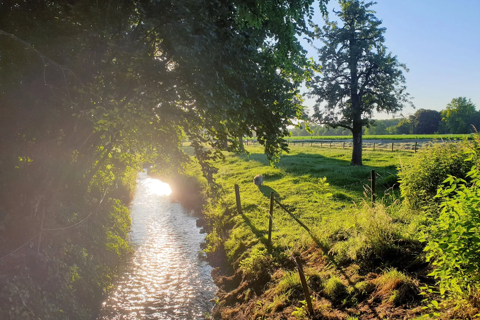 Meschermolen 8-Gebieden zomer 1km