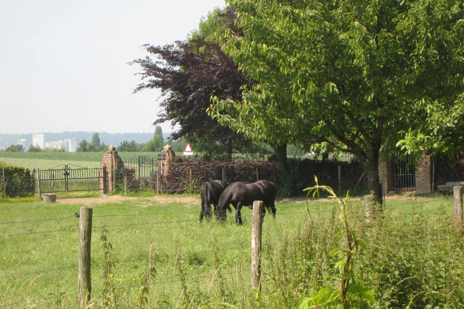 Meschermolen 8-Gebieden zomer 1km