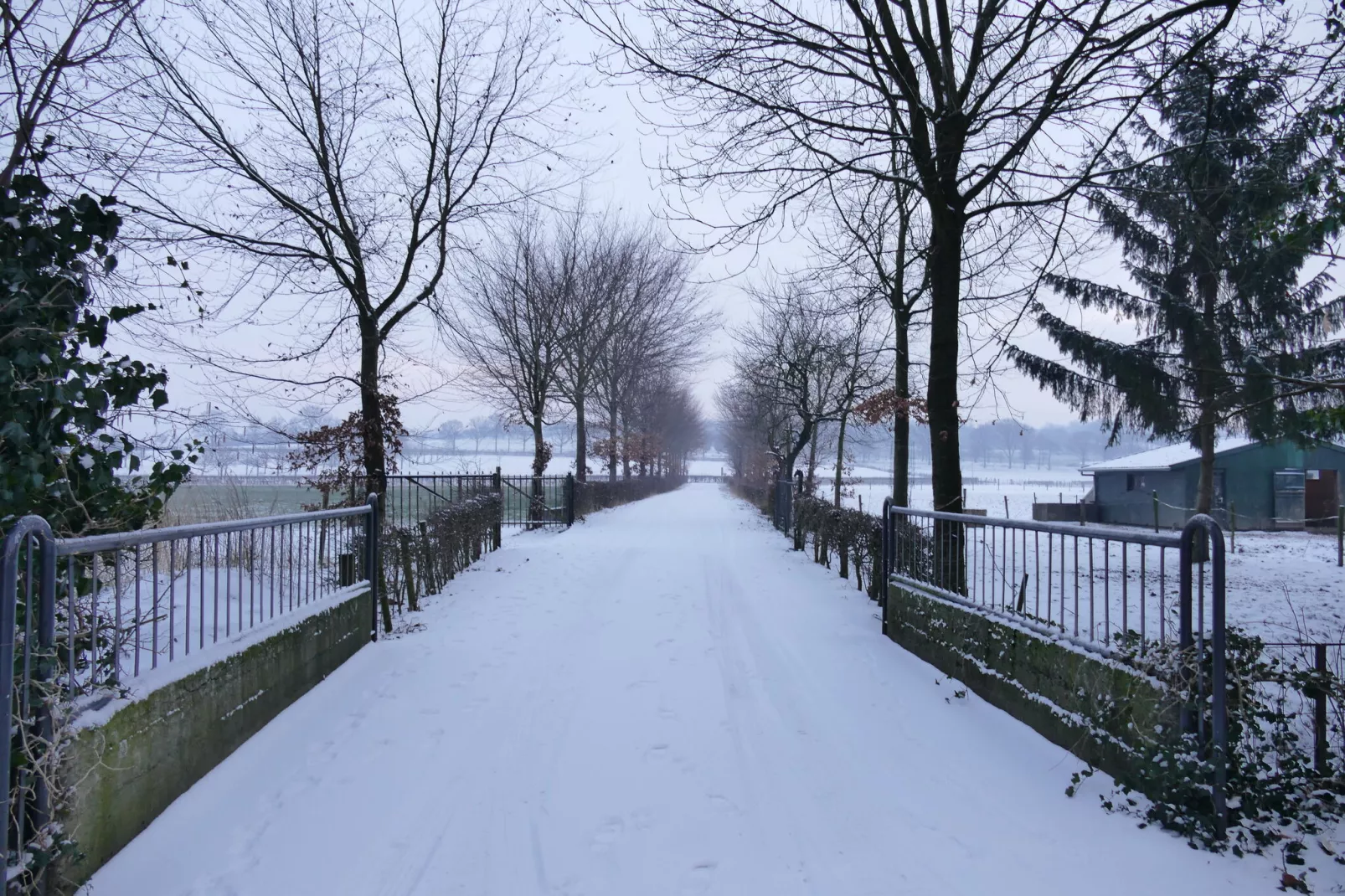 Meschermolen 13-Gebied winter 1km