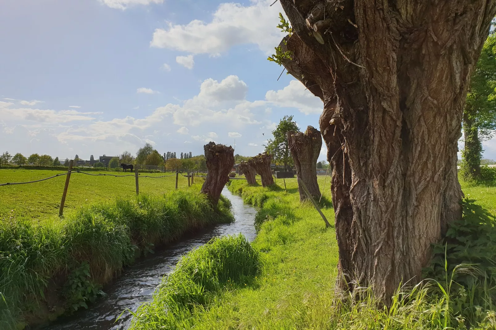 Meschermolen 13-Gebieden zomer 1km