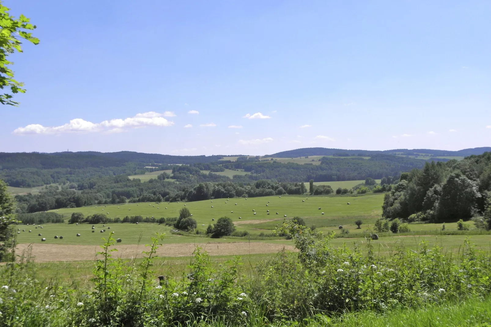 Lipa-Gebieden zomer 1km