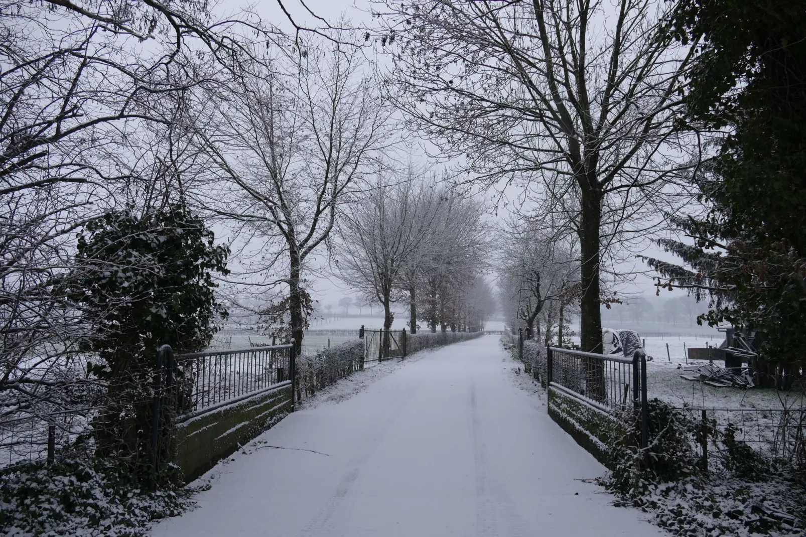 Meschermolen 14-Gebied winter 1km