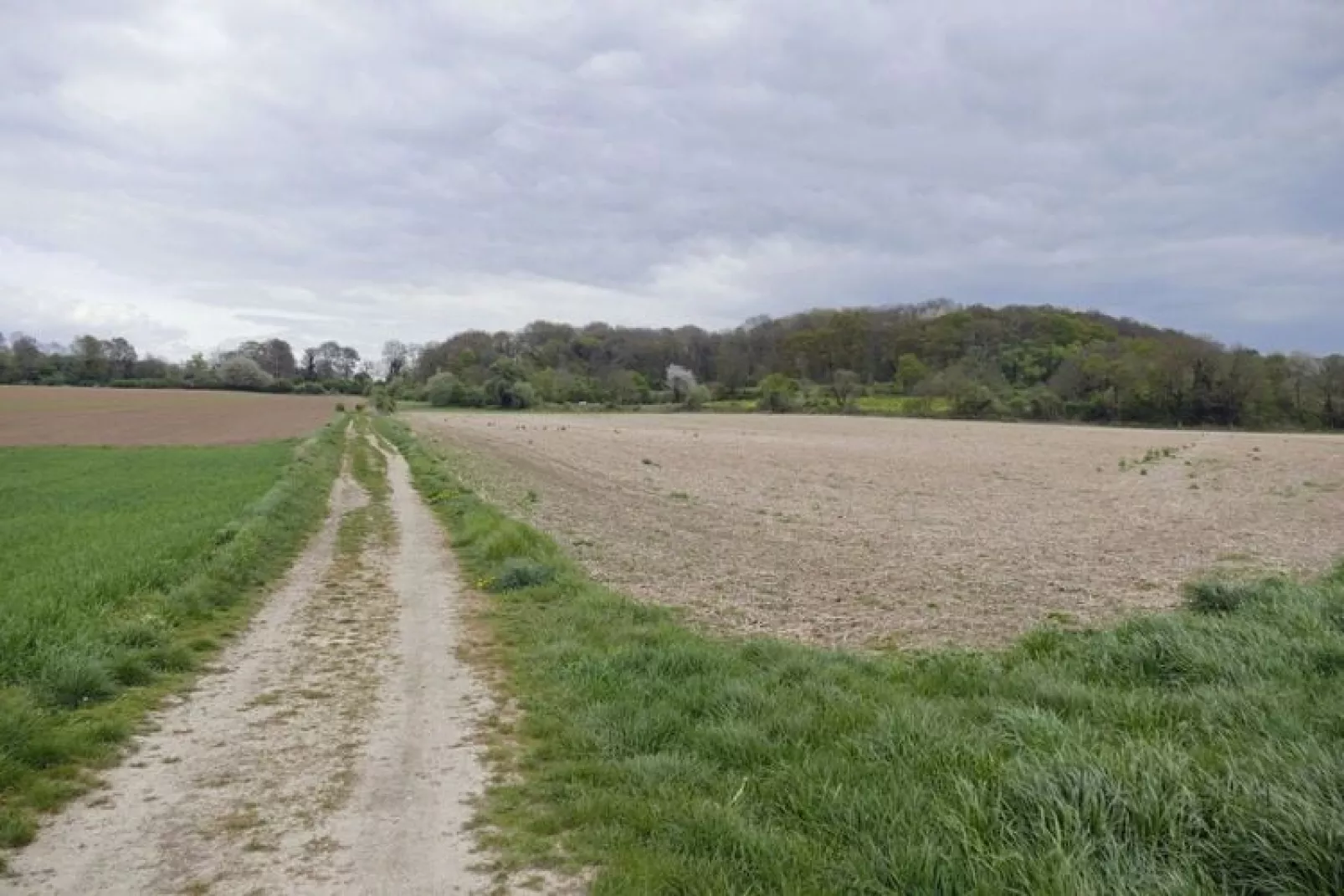 Meschermolen 14-Gebieden zomer 20km