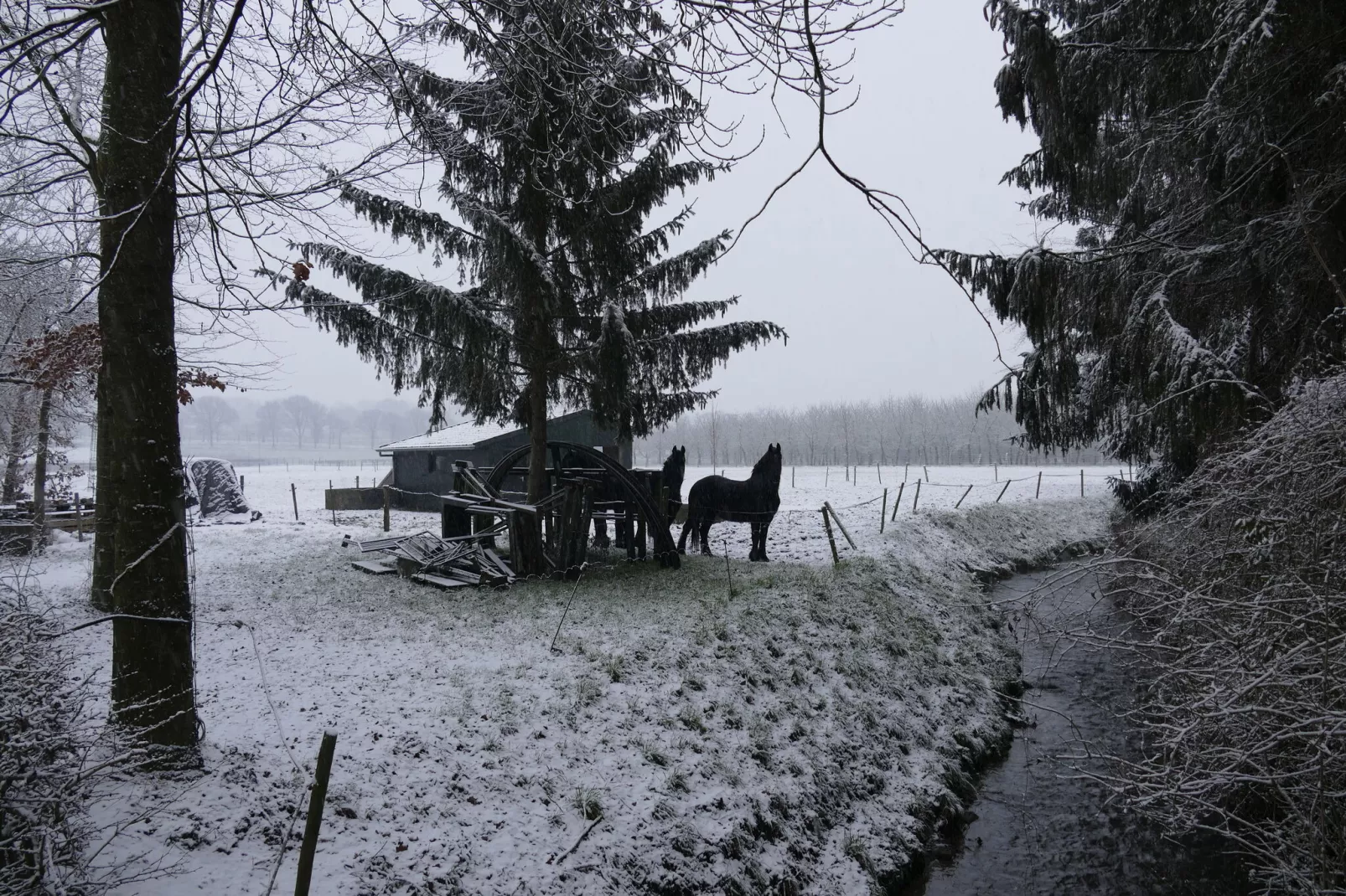 Meschermolen 3-Gebied winter 1km