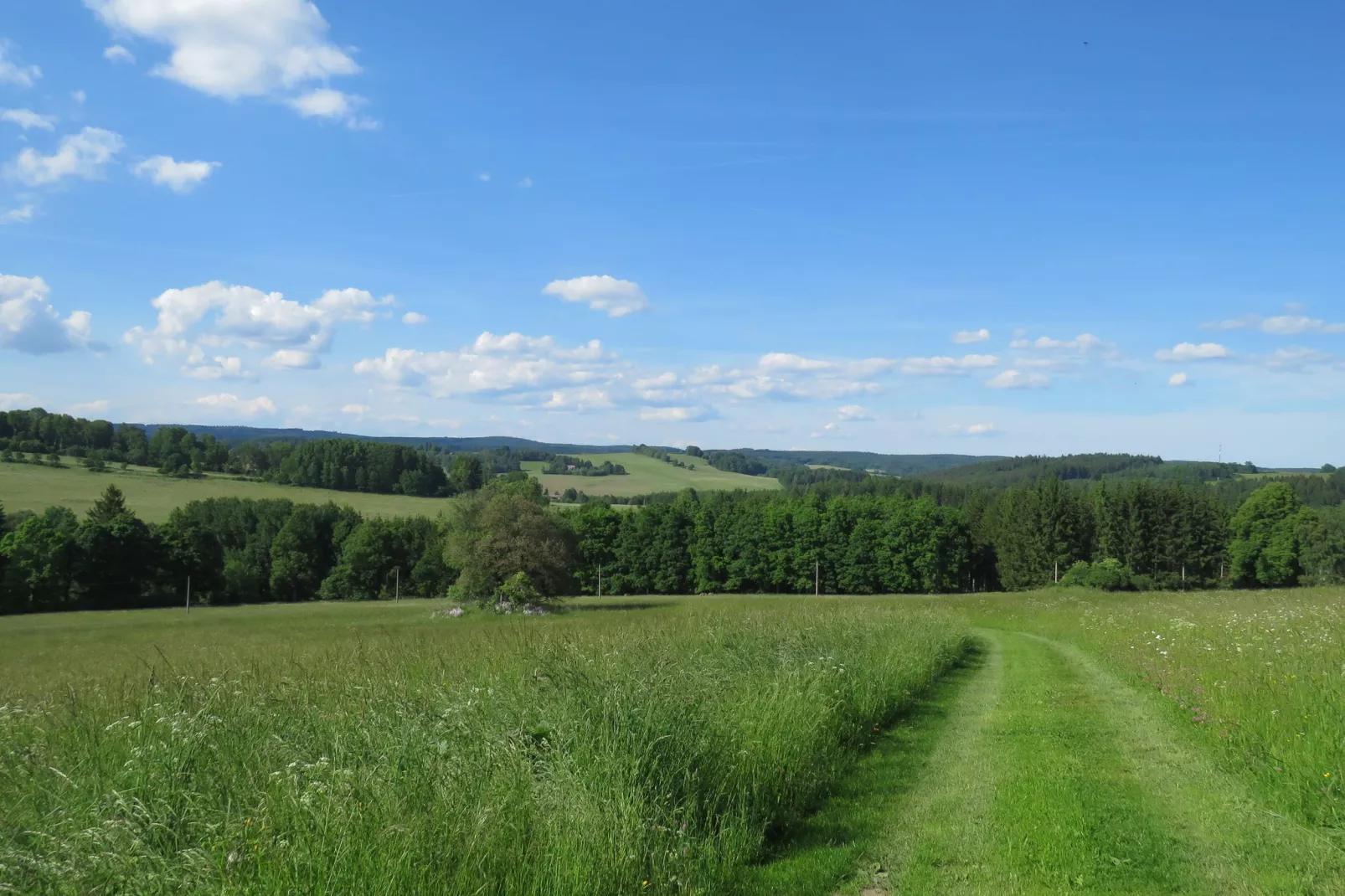 Fara-Gebieden zomer 1km